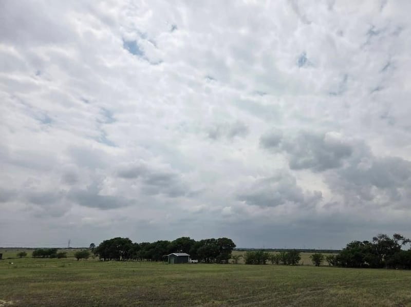237 Barry Country Court, Barry TX 75102 - Photo 8
