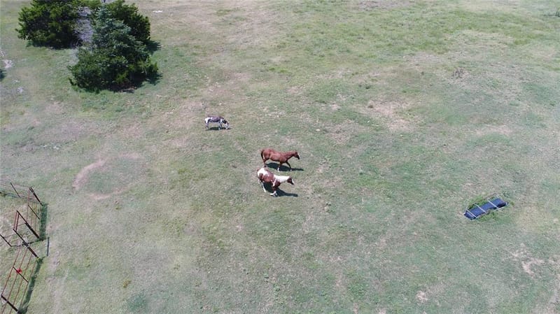 14200 County Road 2180, Richland TX 76681 - Photo 13