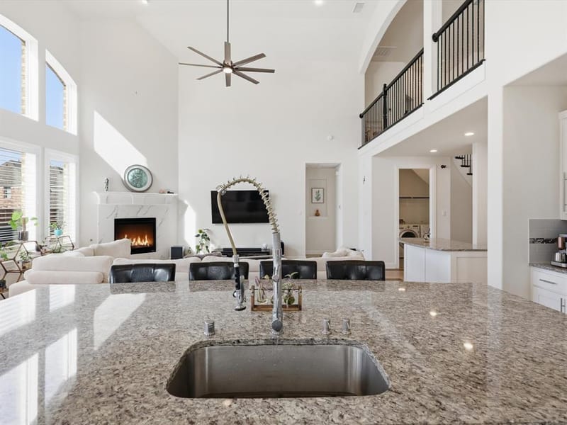 120 Spanish Bluebell Drive, Wylie TX 75098 - Photo 10