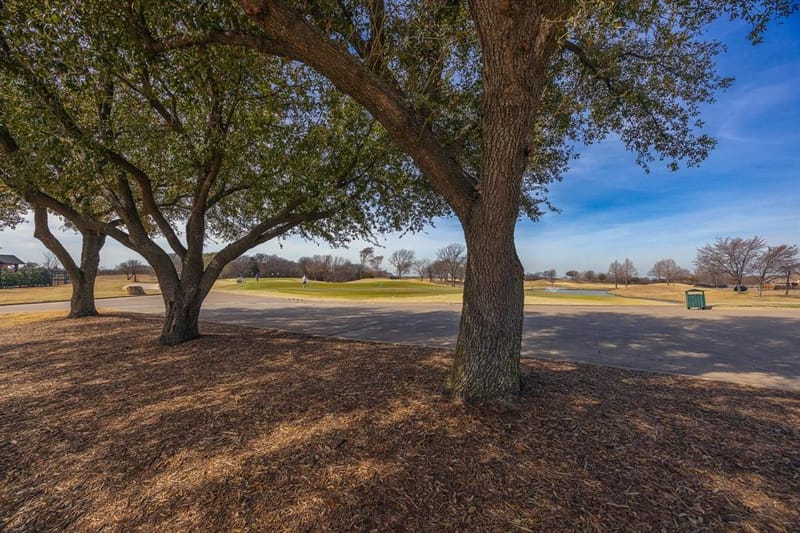 9509 Glenshee Drive, Rowlett TX 75089 - Photo 33