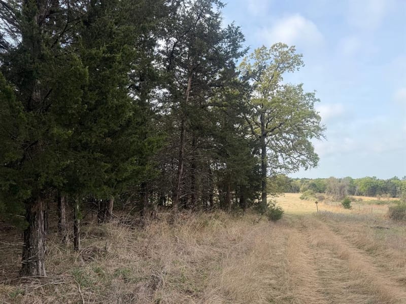2548 County Road 2690, Alvord TX 76225 - Photo 23
