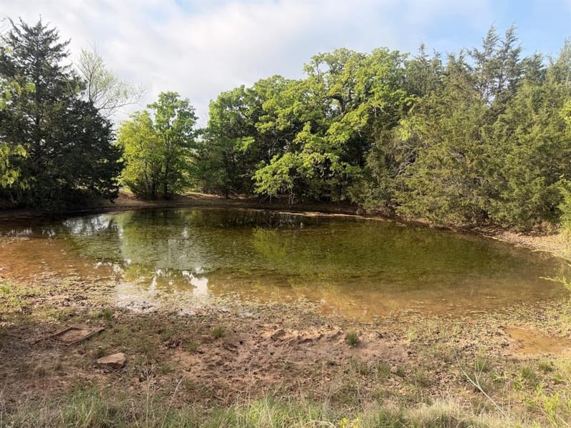 2548 County Road 2690, Alvord TX 76225 - Photo 13