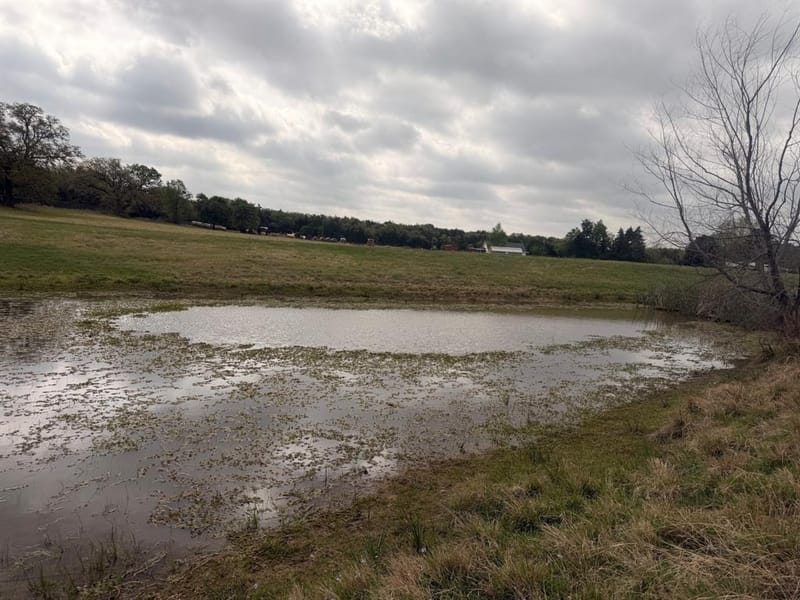 2548 County Road 2690, Alvord TX 76225 - Photo 17