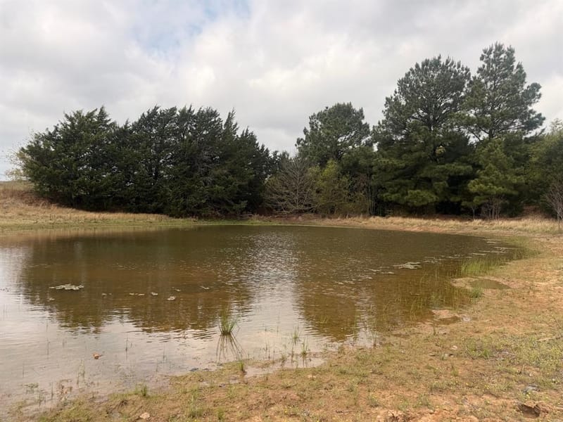 2548 County Road 2690, Alvord TX 76225 - Photo 16