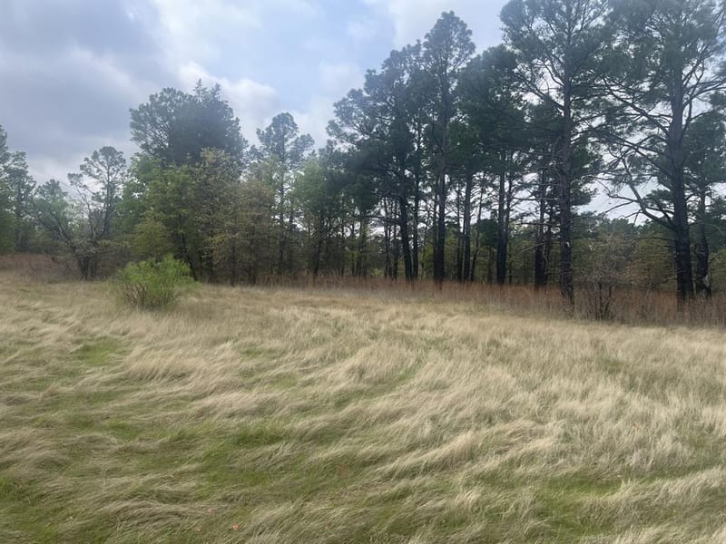 2548 County Road 2690, Alvord TX 76225 - Photo 22
