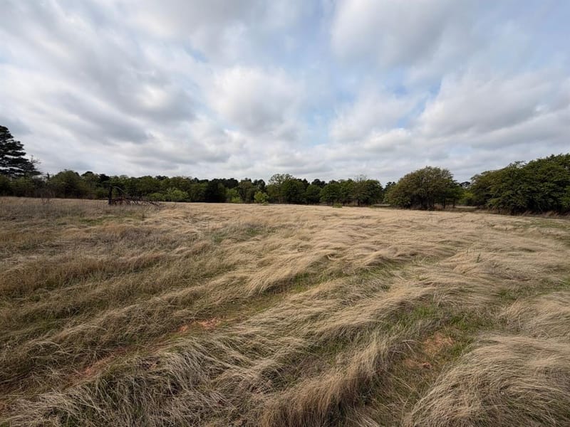 2548 County Road 2690, Alvord TX 76225 - Photo 36