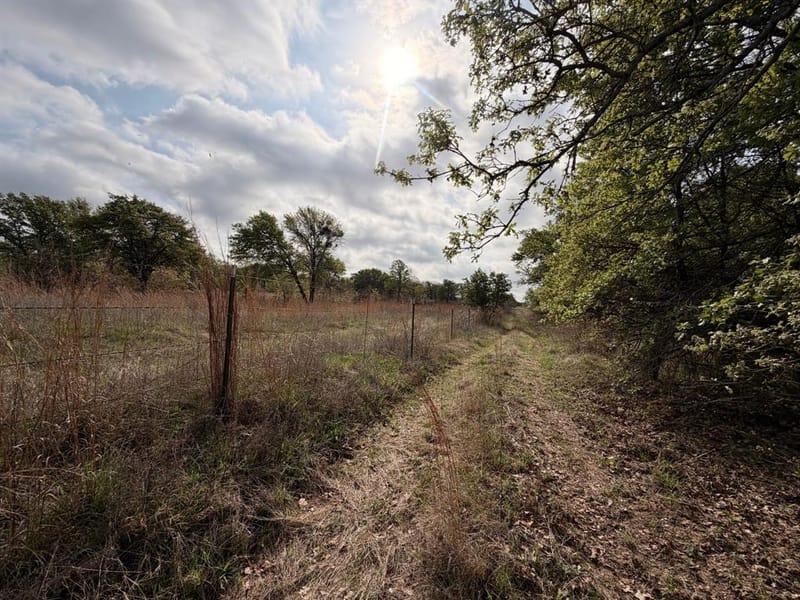 2548 County Road 2690, Alvord TX 76225 - Photo 32