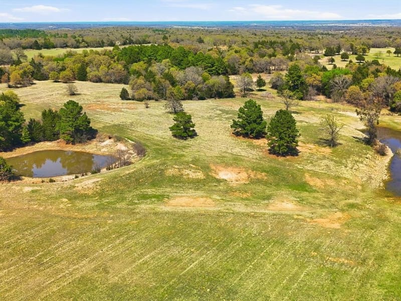 2548 County Road 2690, Alvord TX 76225 - Photo 9