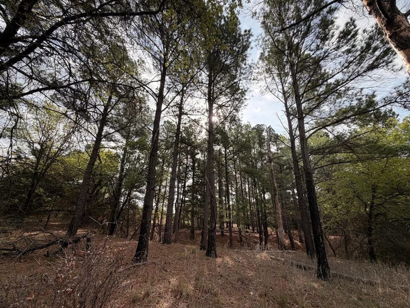2548 County Road 2690, Alvord TX 76225 - Photo 14