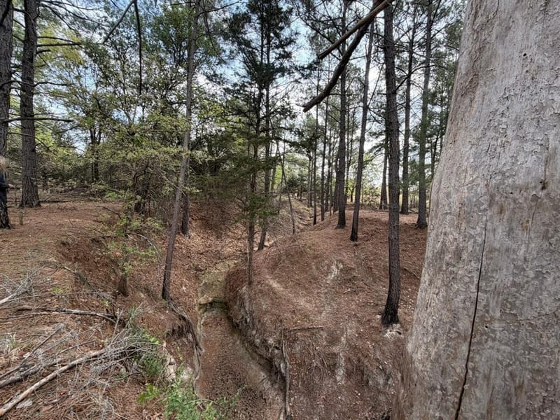 2548 County Road 2690, Alvord TX 76225 - Photo 15