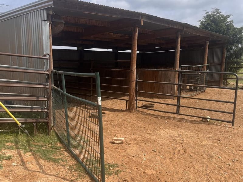2548 County Road 2690, Alvord TX 76225 - Photo 11