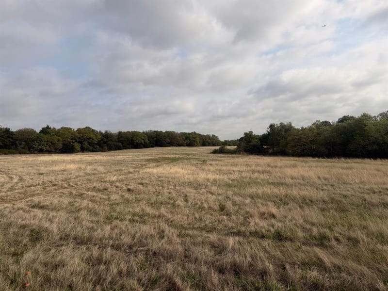 2548 County Road 2690, Alvord TX 76225 - Photo 19
