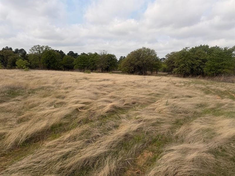 2548 County Road 2690, Alvord TX 76225 - Photo 40