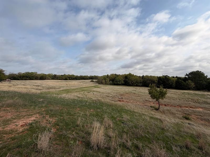 2548 County Road 2690, Alvord TX 76225 - Photo 35