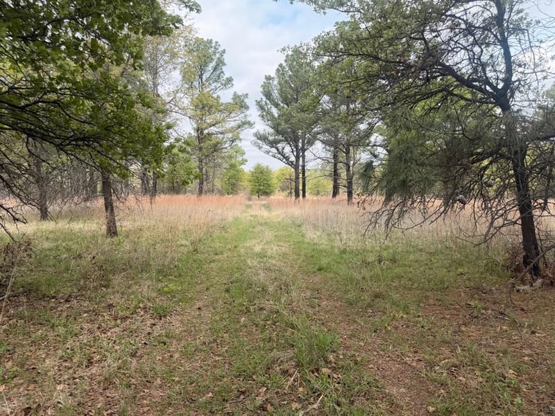 2548 County Road 2690, Alvord TX 76225 - Photo 31