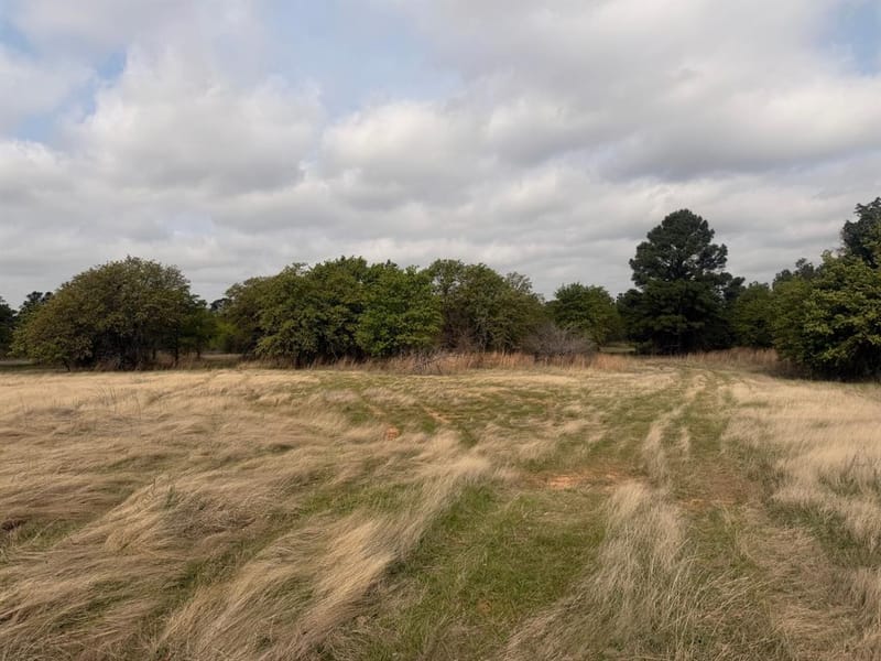 2548 County Road 2690, Alvord TX 76225 - Photo 39