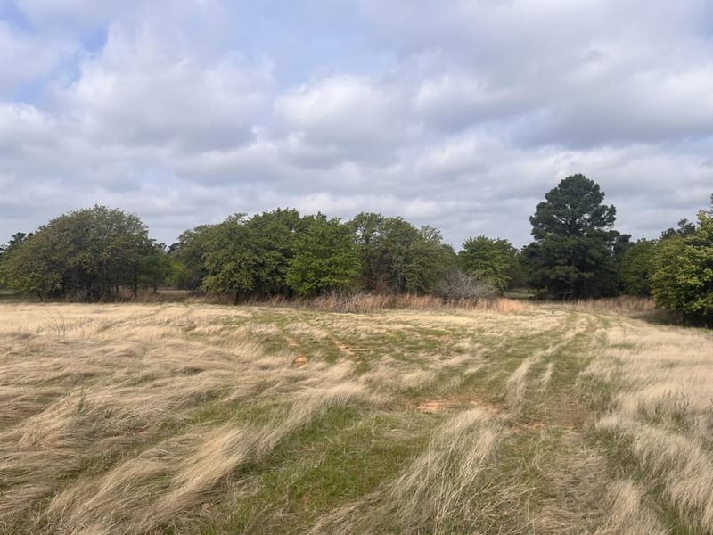 2548 County Road 2690, Alvord TX 76225 - Photo 21