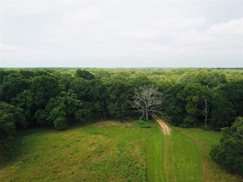 2211 Fm 2029, Telephone TX 75488 - Photo 12