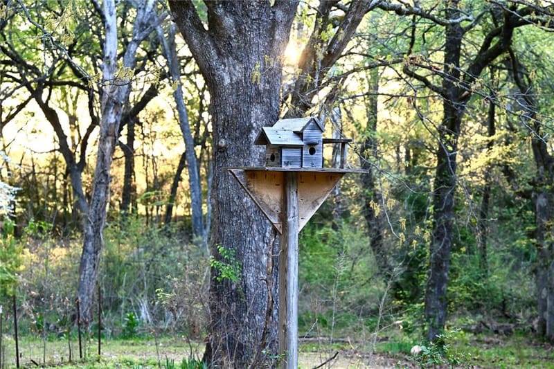 2211 Fm 2029, Telephone TX 75488 - Photo 9