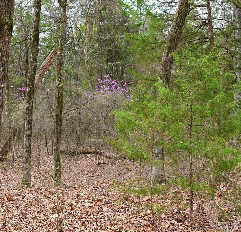 2211 Fm 2029, Telephone TX 75488 - Photo 4