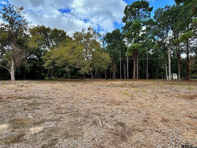 2431 N Jefferson, Mount Pleasant TX 75455 - Photo 36