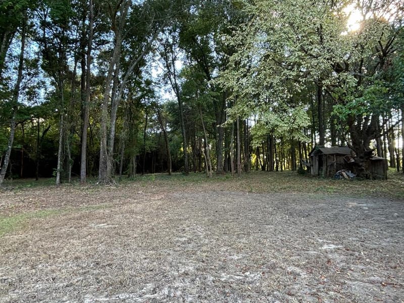 2431 N Jefferson, Mount Pleasant TX 75455 - Photo 37
