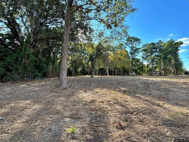 2431 N Jefferson, Mount Pleasant TX 75455 - Photo 35