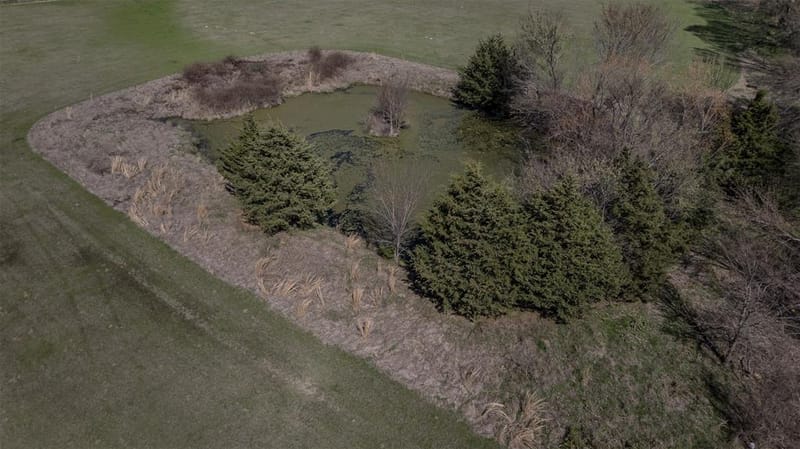 267 County Road 2150, Telephone TX 75446 - Photo 9