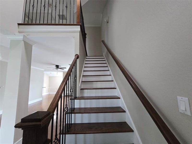 6712 Mantissa Drive, Plano TX 75023 - Photo 3