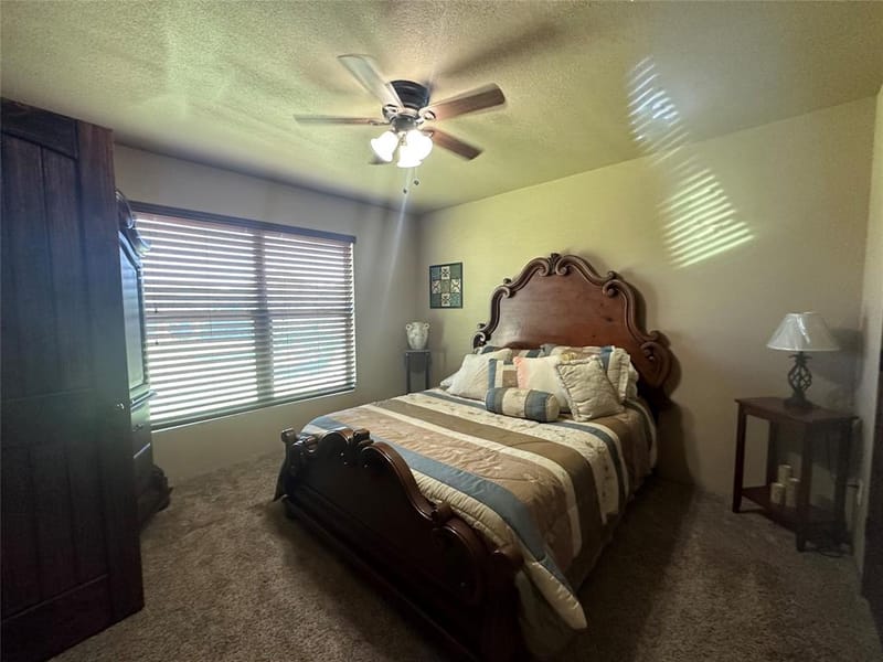 261 Vickie Lane, Gunter TX 75058 - Photo 17