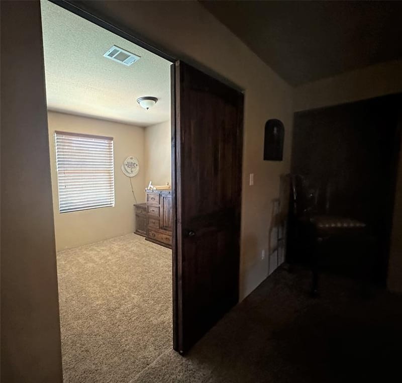 261 Vickie Lane, Gunter TX 75058 - Photo 20