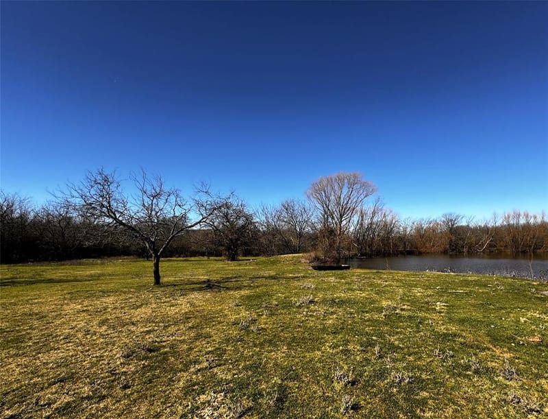 261 Vickie Lane, Gunter TX 75058 - Photo 35