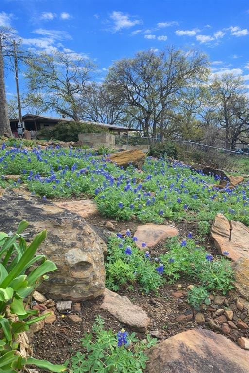 302 Kennon Circle, Palo Pinto TX 76484 - Photo 34