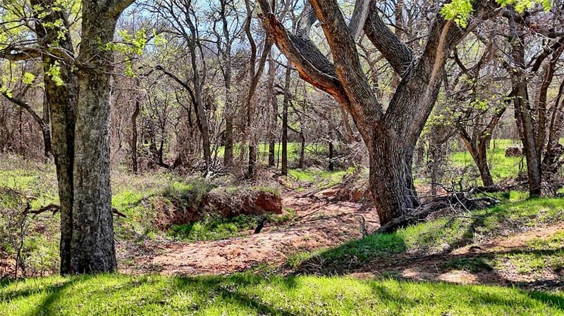 4179 Rock Springs School Road, Nocona TX 76255 - Photo 21