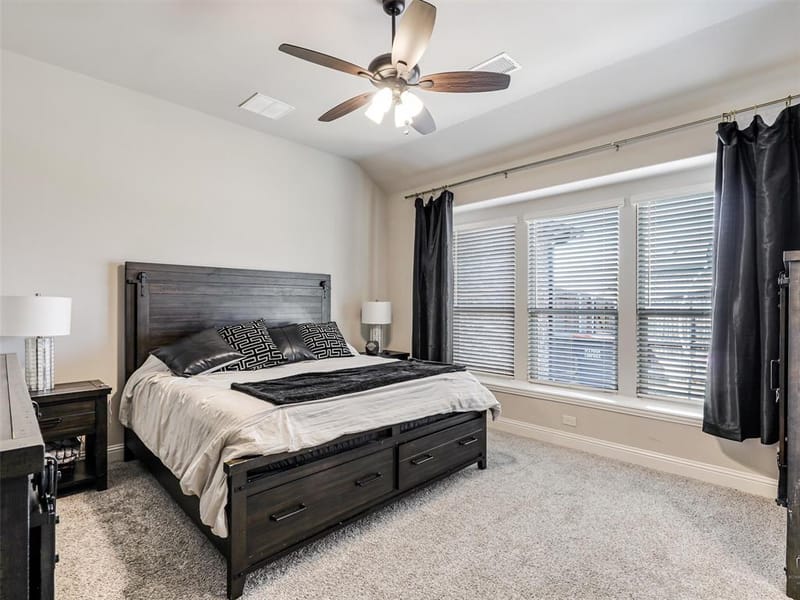 1216 Tree Shadow Lane, Anna TX 75409 - Photo 17