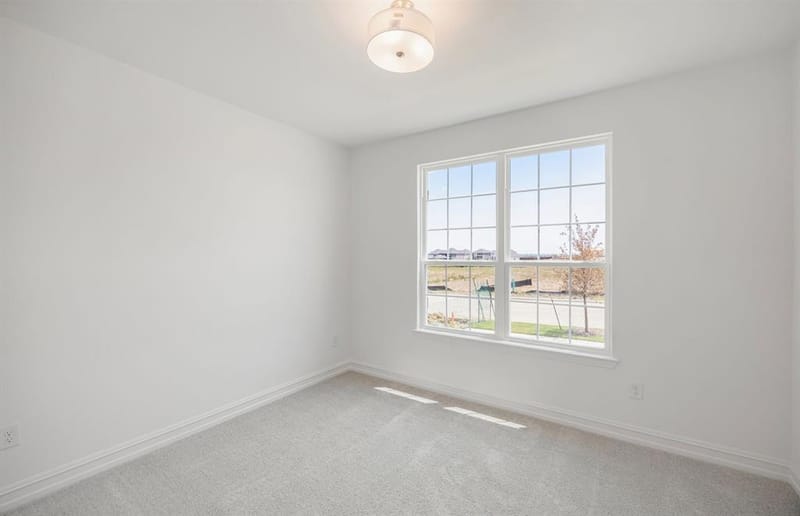 1453 Corleone Lane, Celina TX 75009 - Photo 5
