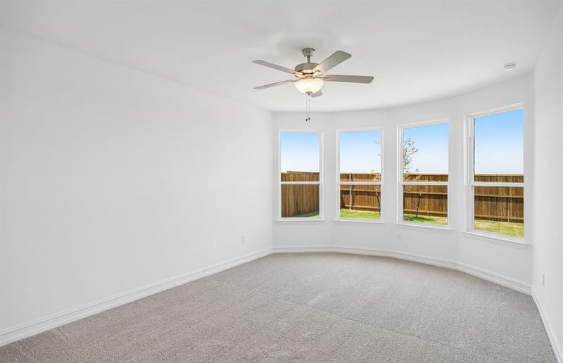 1453 Corleone Lane, Celina TX 75009 - Photo 14