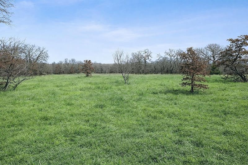 TBD Cr-1990, Chico TX 76431 - Photo 13