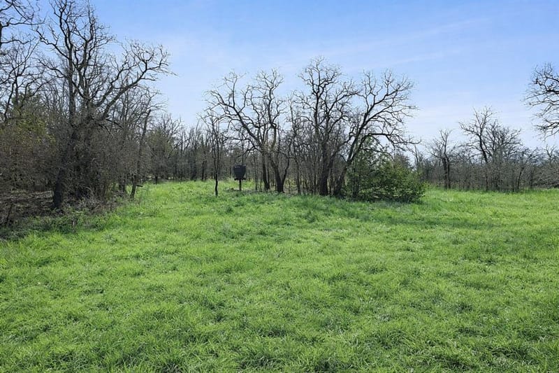 TBD Cr-1990, Chico TX 76431 - Photo 12