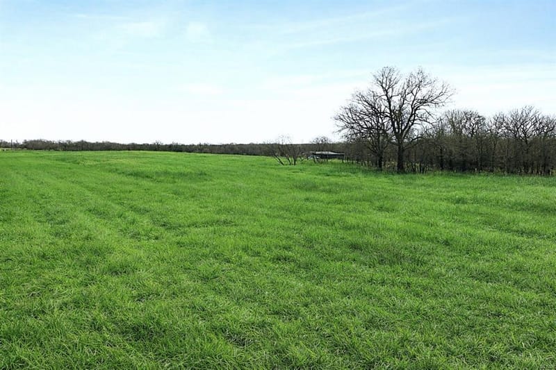TBD Cr-1990, Chico TX 76431 - Photo 9