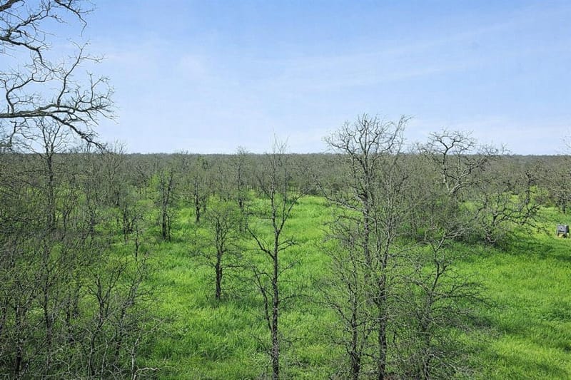 TBD Cr-1990, Chico TX 76431 - Photo 10