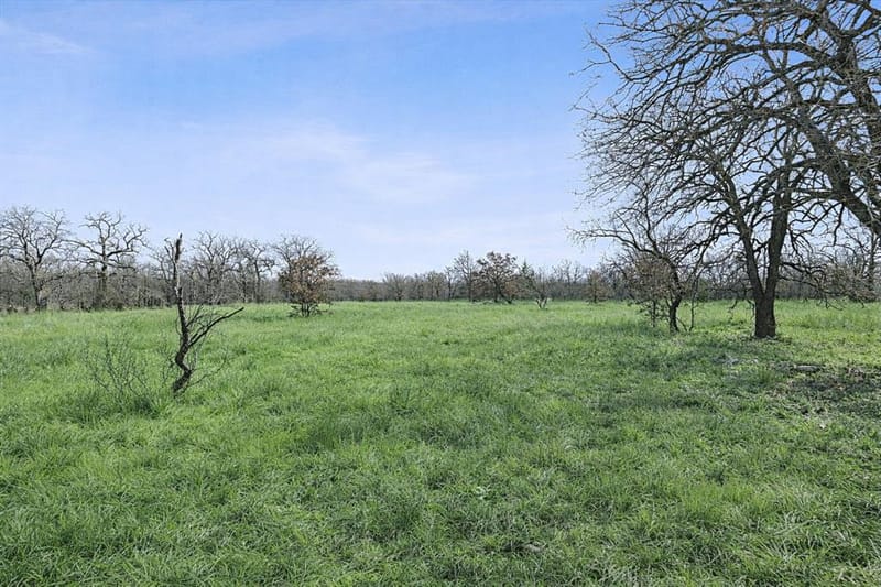 TBD Cr-1990, Chico TX 76431 - Photo 14