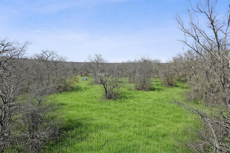 TBD Cr-1990, Chico TX 76431 - Photo 11