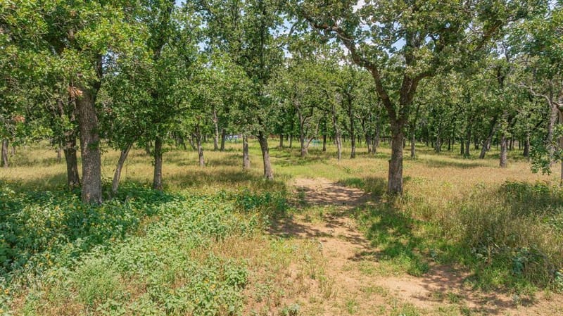 1375 County Road 253, Stephenville TX 76401 - Photo 16