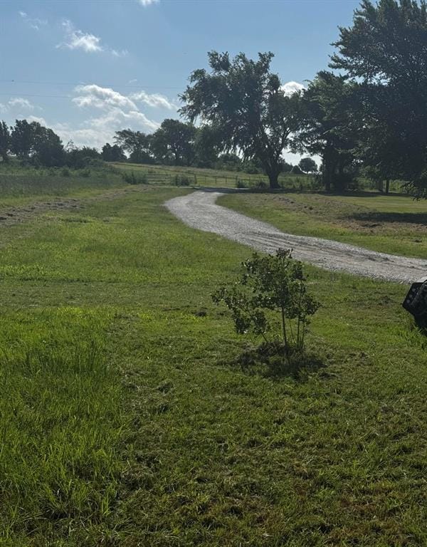 3979 Roland Road, Whitesboro TX 76273 - Photo 3