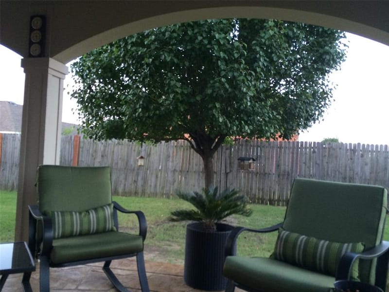 1315 Huntsville Drive, Wylie TX 75098 - Photo 23