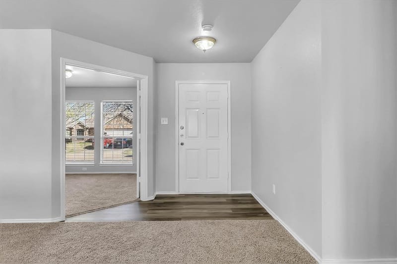 2045 Hanakoa Falls Drive, Anna TX 75409 - Photo 2