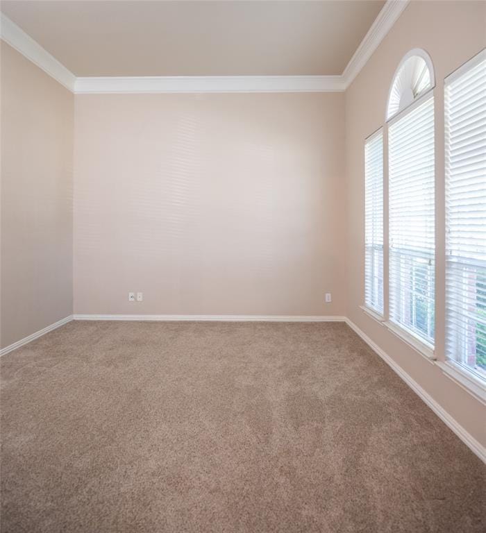 1614 Wheatberry Court, Allen TX 75002 - Photo 14