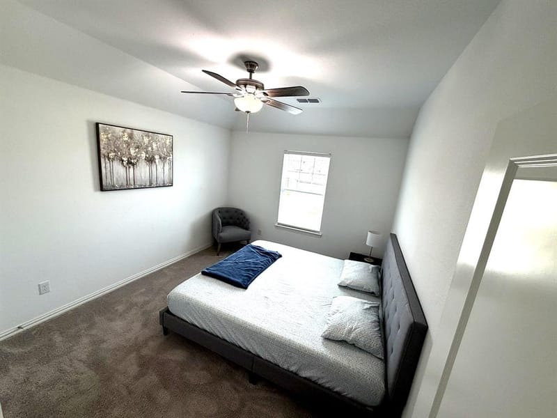 2603 Lemon Mint Lane, Melissa TX 75454 - Photo 27