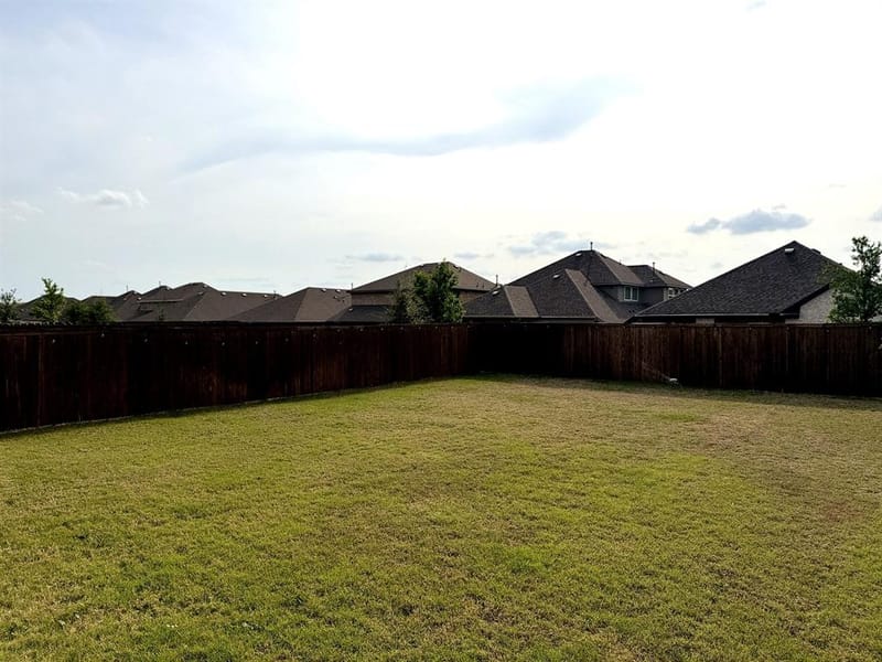 2603 Lemon Mint Lane, Melissa TX 75454 - Photo 13